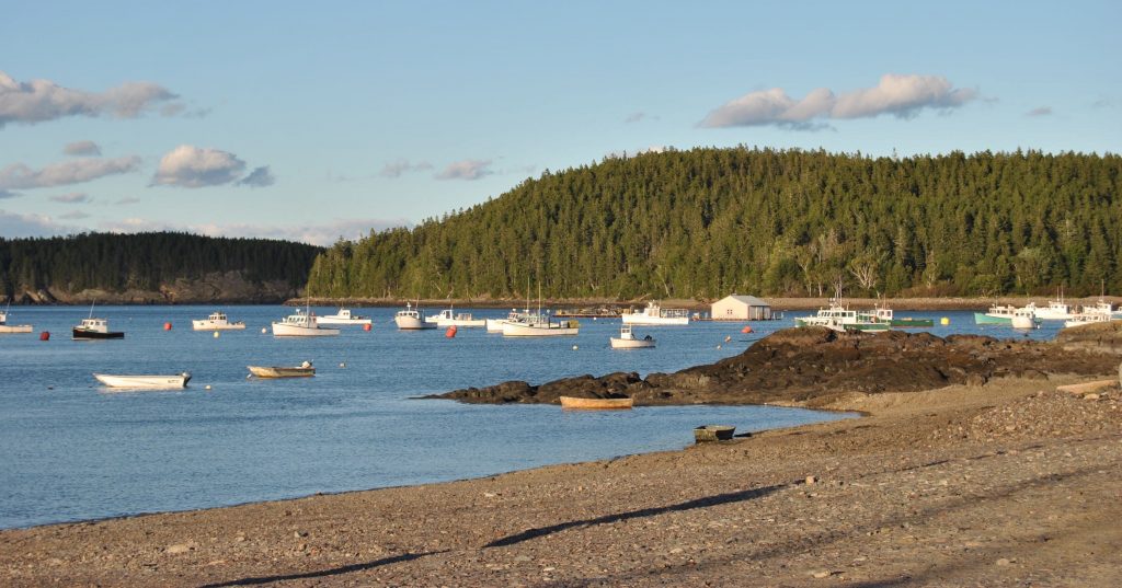 Finn-beach-morning